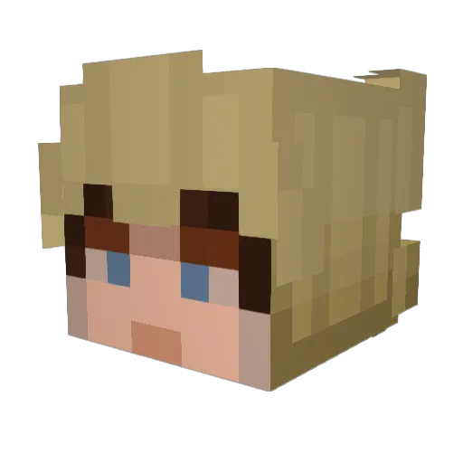 AlmostAGamer5 Minecraft avatar head, 3D render