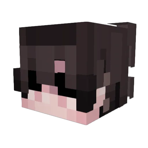 Almost_Mehrshad Minecraft avatar head, 3D render