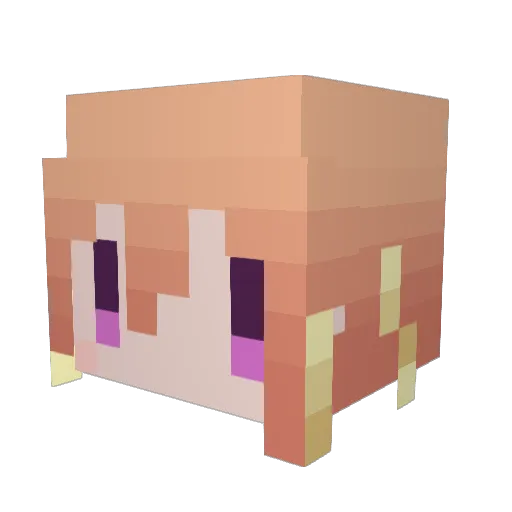 Alnas0828 Minecraft avatar head, 3D render