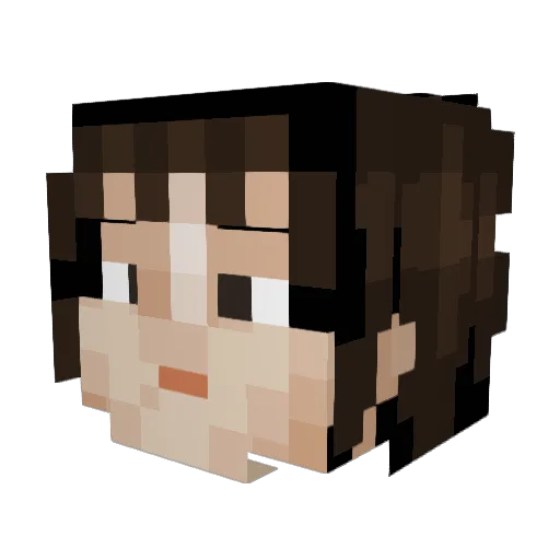 Alnm10 Minecraft avatar head, 3D render