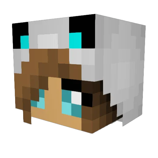 AloFire Minecraft avatar head, 3D render