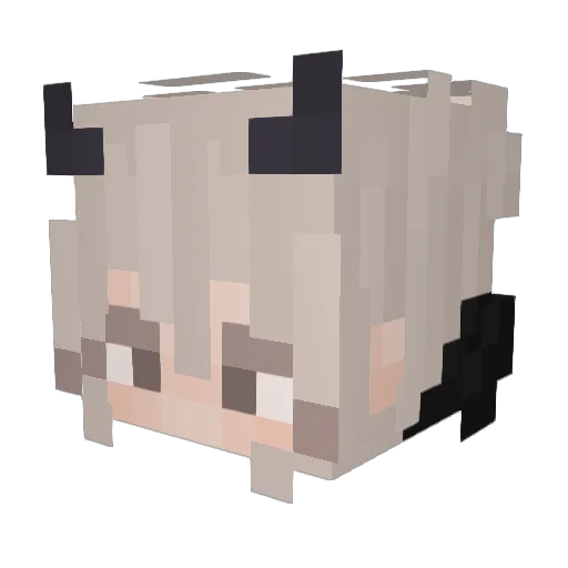 Alo_ItsMe Minecraft avatar head, 3D render