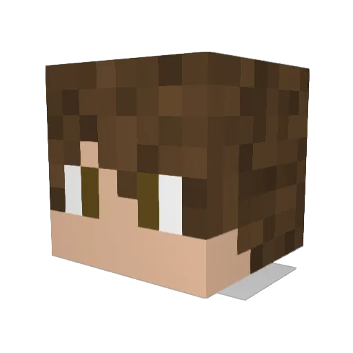 Alodor Minecraft avatar head, 3D render