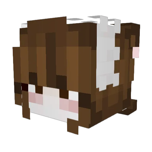 AloeSinclair Minecraft avatar head, 3D render
