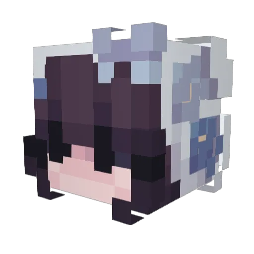 Aloe__V Minecraft avatar head, 3D render