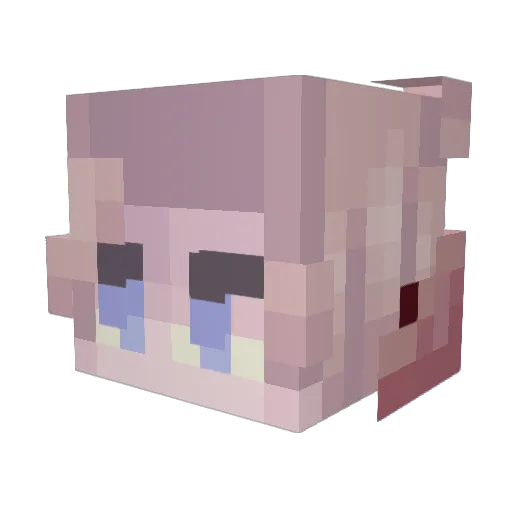 Aloegator24 Minecraft avatar head, 3D render