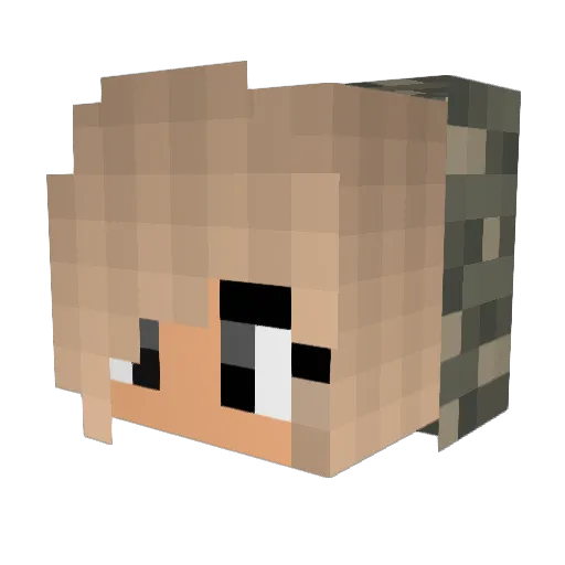 Aloha_Jenn Minecraft avatar head, 3D render