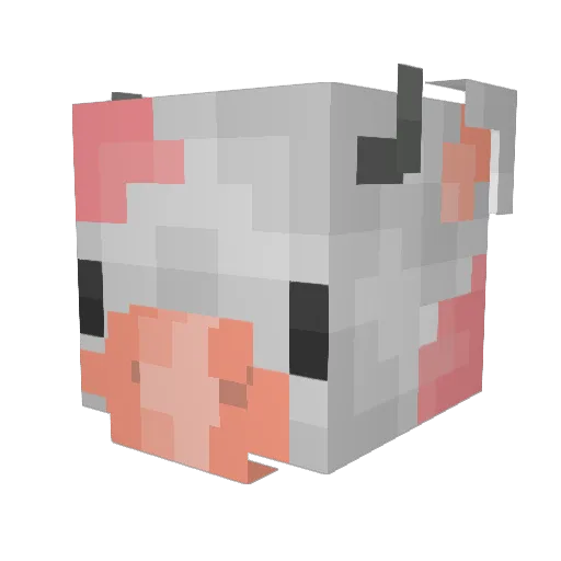 Aloha_Rise Minecraft avatar head, 3D render