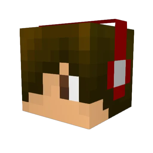 Aloha_chris8o8 Minecraft avatar head, 3D render