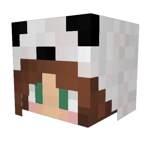 AlohiSage Minecraft avatar head, 3D render