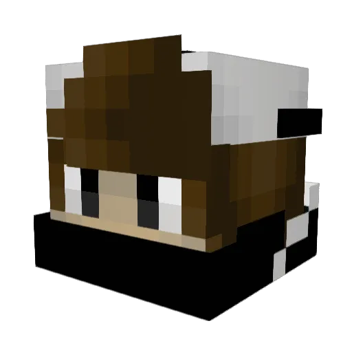 Aloholiker Minecraft avatar head, 3D render