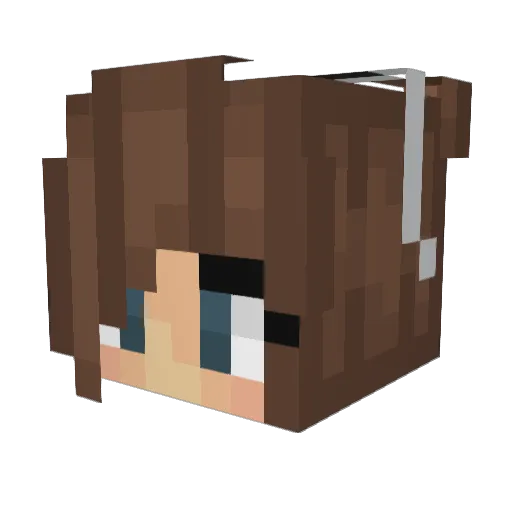 Aloiv2703 Minecraft avatar head, 3D render