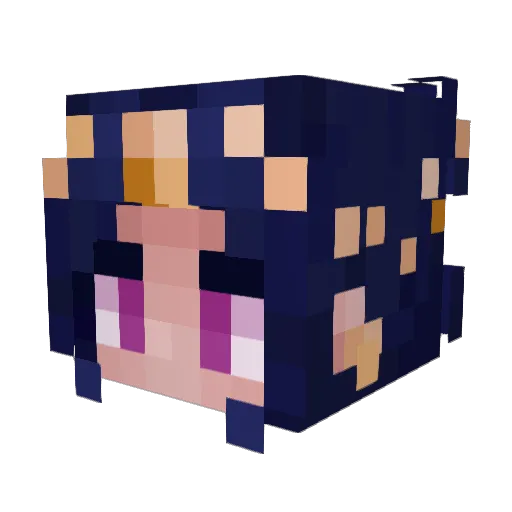 AlokVocayne Minecraft avatar head, 3D render