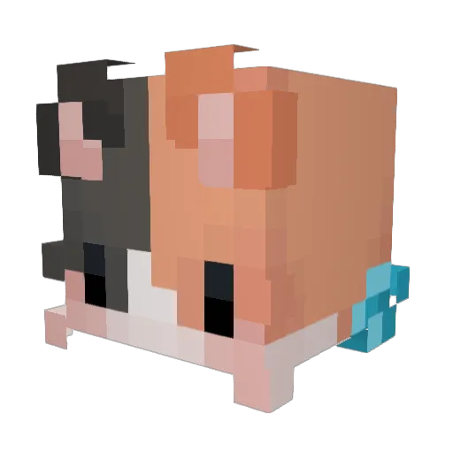 AlonP_ Minecraft avatar head, 3D render