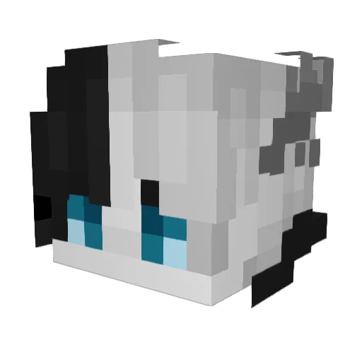 AloneRian Minecraft avatar head, 3D render