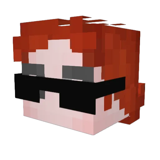 AlongCameN4te Minecraft avatar head, 3D render