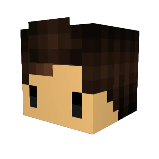 Alonsoenrqz Minecraft avatar head, 3D render
