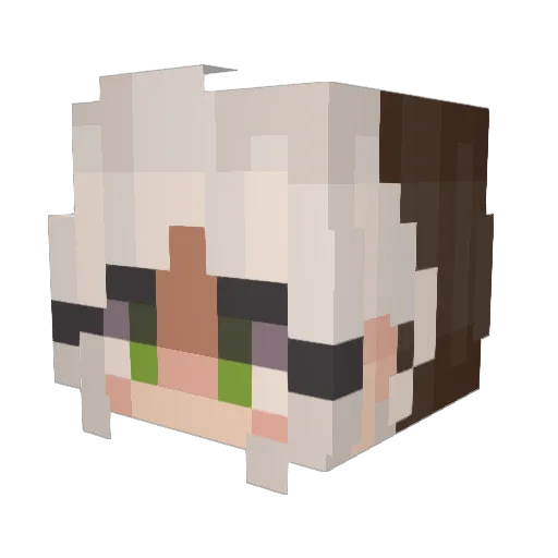 Alonu Minecraft avatar head, 3D render