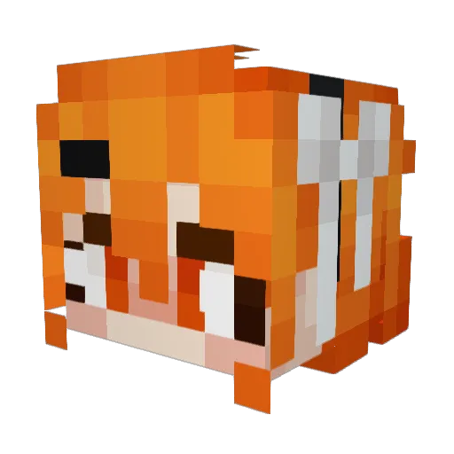 AloofMcBloof Minecraft avatar head, 3D render