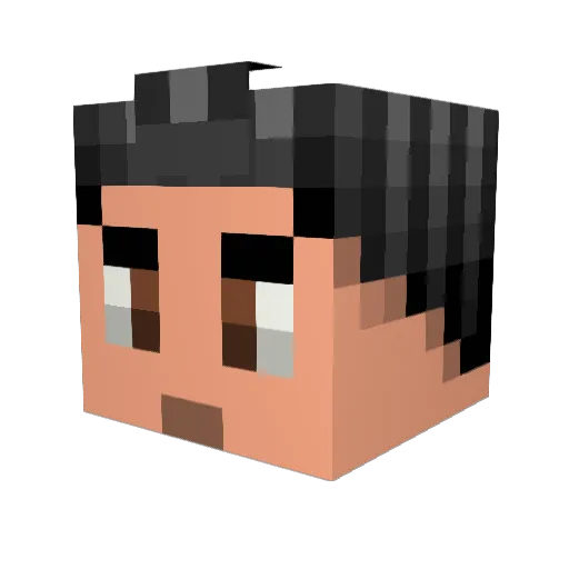 Aloofbat28 Minecraft avatar head, 3D render