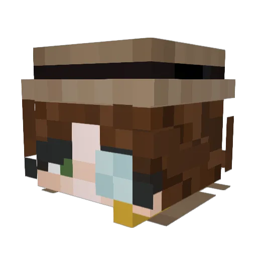Alopexxx Minecraft avatar head, 3D render