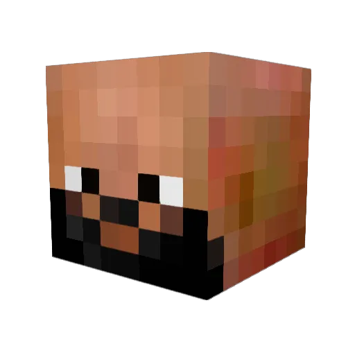 Alouie Minecraft avatar head, 3D render