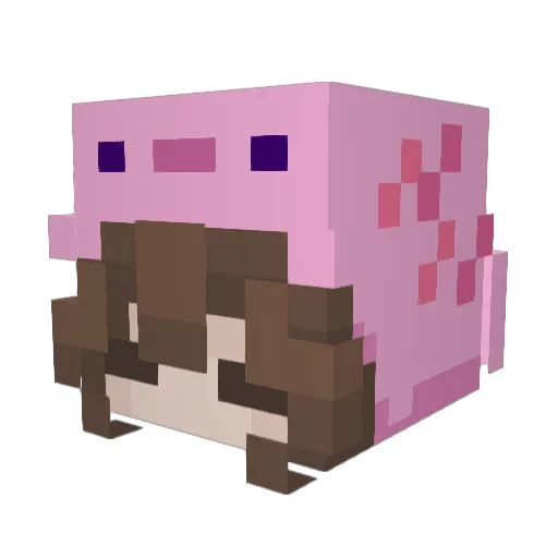 AlovelyOrchid Minecraft avatar head, 3D render