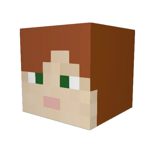 Alowden Minecraft avatar head, 3D render