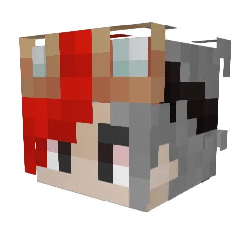 Alox51 Minecraft avatar head, 3D render