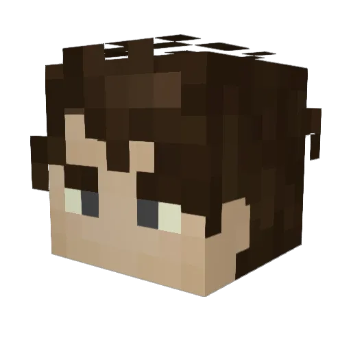 AlpacaCake Minecraft avatar head, 3D render