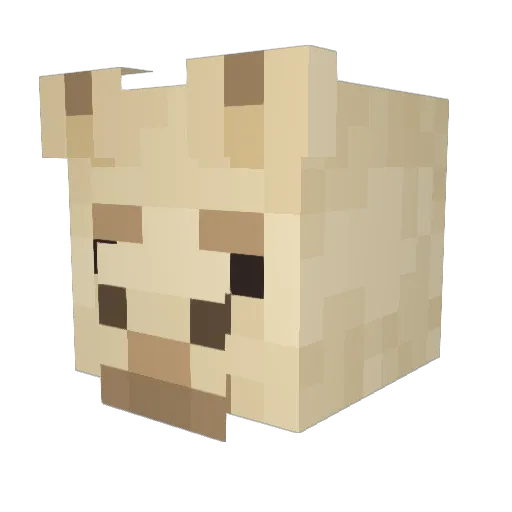 Alpaka1092 Minecraft avatar head, 3D render
