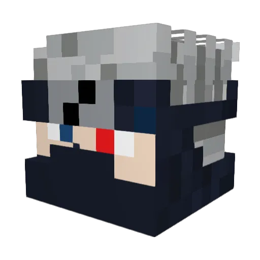 AlpakaMain Minecraft avatar head, 3D render
