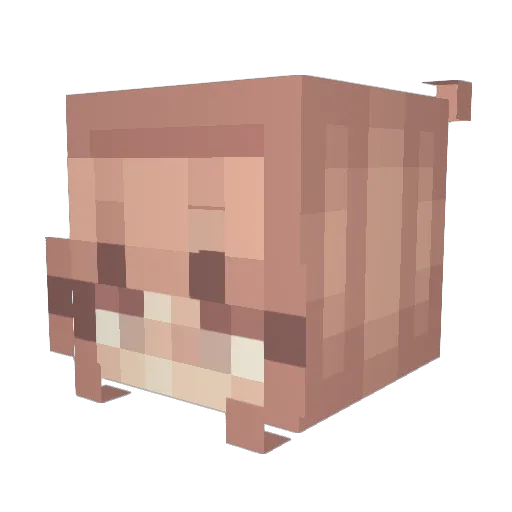 Alpakakka Minecraft avatar head, 3D render