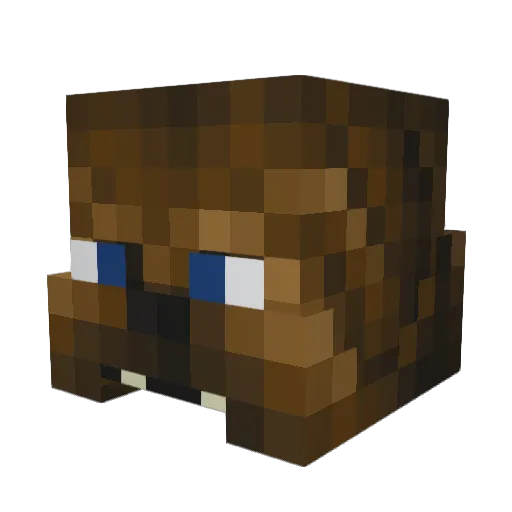 Alpalm91 Minecraft avatar head, 3D render