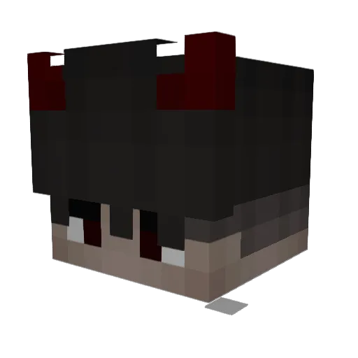 AlpaysFanBoy Minecraft avatar head, 3D render