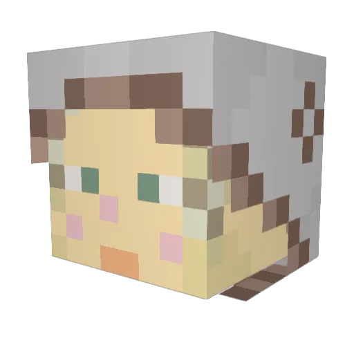 AlpeNq Minecraft avatar head, 3D render