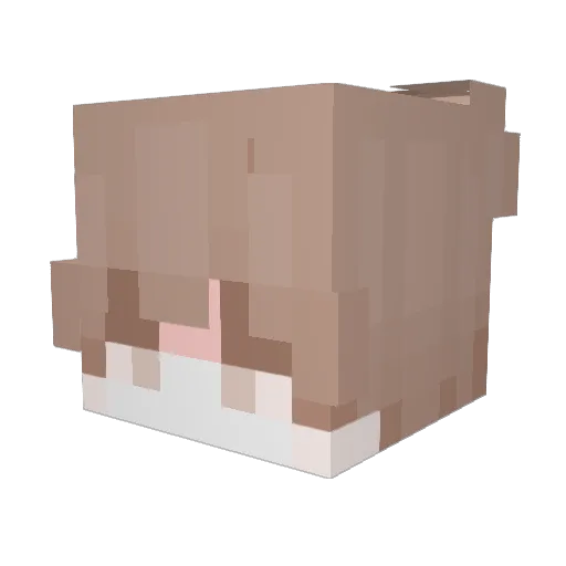 AlperShining Minecraft avatar head, 3D render