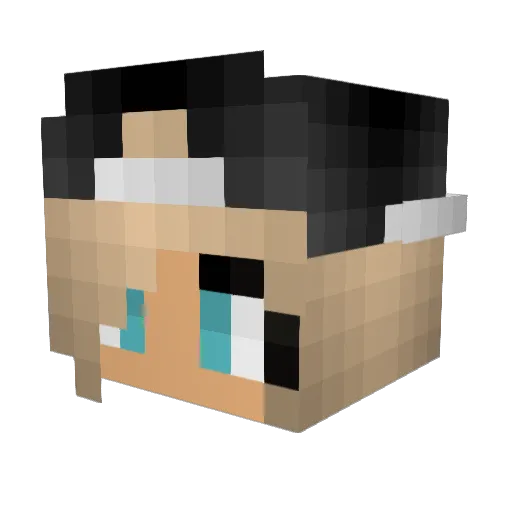 AlphArch3r Minecraft avatar head, 3D render