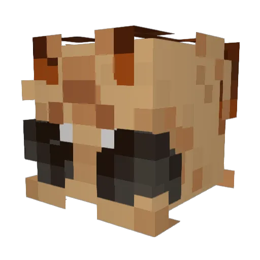 AlphaAce19 Minecraft avatar head, 3D render