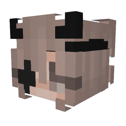 AlphaAlphaWolf Minecraft avatar head, 3D render