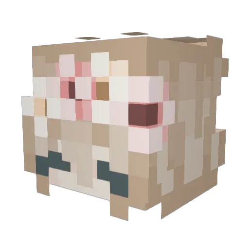 AlphaDreamer101 Minecraft avatar head, 3D render