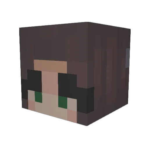 AlphaFefol Minecraft avatar head, 3D render