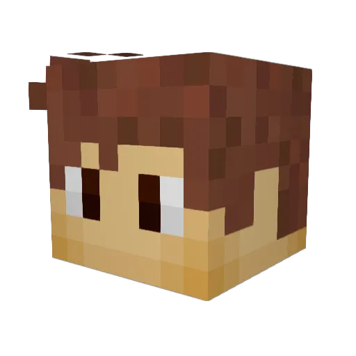 AlphaJoel855 Minecraft avatar head, 3D render