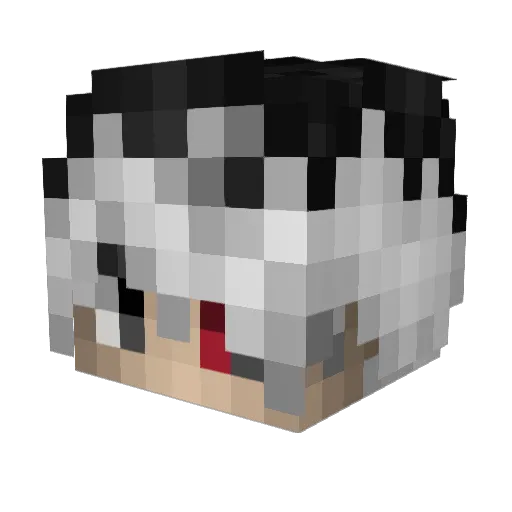 AlphaLama91 Minecraft avatar head, 3D render