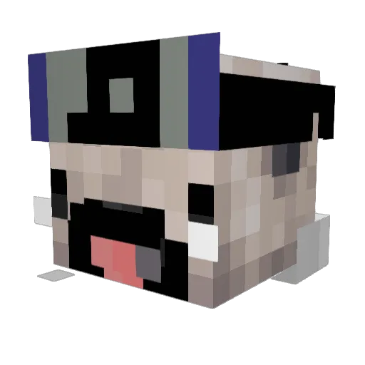 AlphaN8 Minecraft avatar head, 3D render