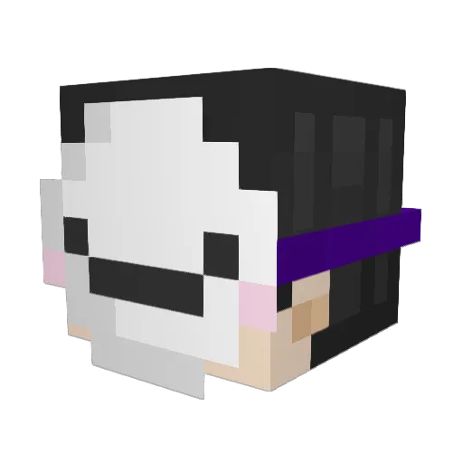 AlphaShadow897 Minecraft avatar head, 3D render