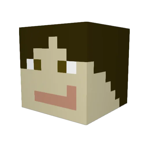 AlphaWP14 Minecraft avatar head, 3D render