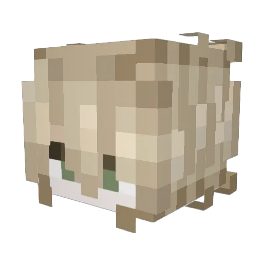 AlphaWithA Minecraft avatar head, 3D render