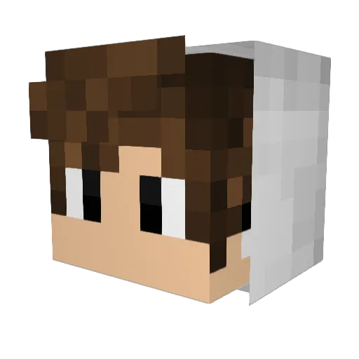 AlphaWolf33 Minecraft avatar head, 3D render
