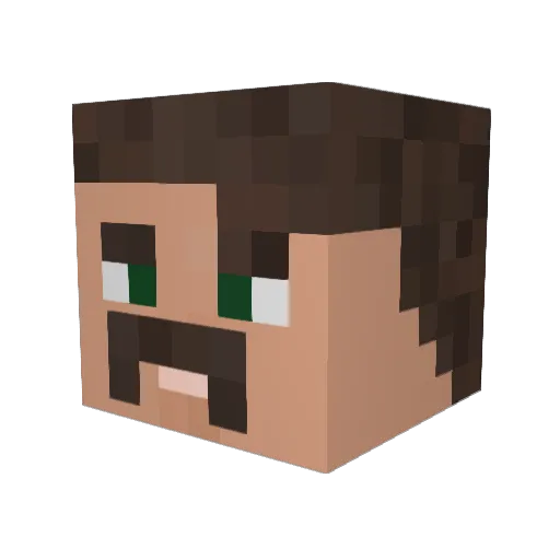 AlphaZulu737 Minecraft avatar head, 3D render